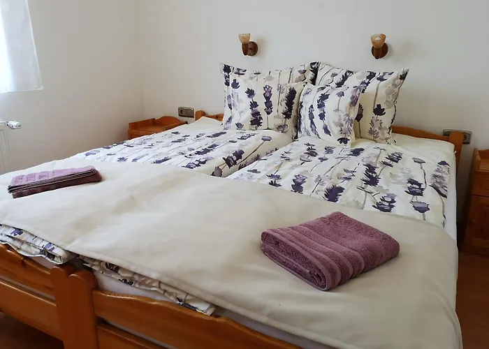 Blanka Vendeghaz Apartment *